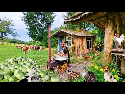 Жареная Капуста. Готовим Мясо с Овощами на Садже.