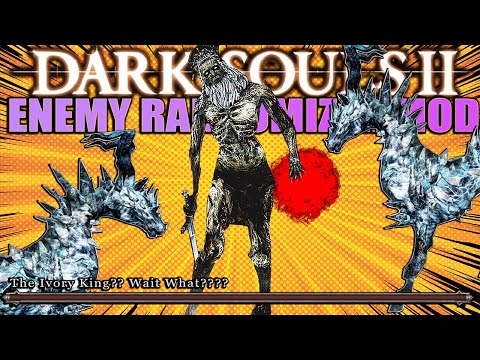 Some Things I've NEVER Seen Before - DS2 Enemy Randomizer Mod