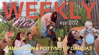 Potting up dahlias, family fun, marvel marathon & more! weekly vlog 232