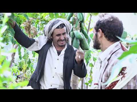 العم يحيى وعمار  وكذبة الماء