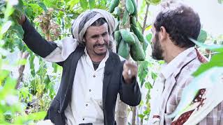 العم يحيى وعمار  وكذبة الماء