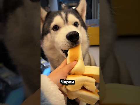 История про делёжку хлеба 😁😋