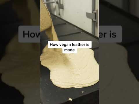 How Vegan Leather Is Made From Mangoes