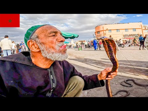 أغرب سوق في العالم !! جولة عفوية في مراكش القديمة 🇲🇦