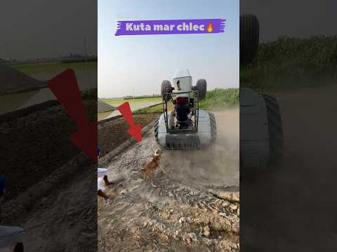 Simma sidhu stunt #viralvideo #tractor #sidhumoosewala #trend #punjabimusic #sidhumoosewala