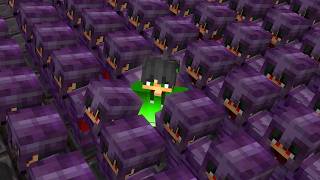 I Went Undercover On My Fans Minecraft Server