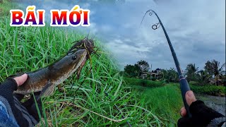 Trúng bãi câu mới cá ăn thấy mê | THÚ VUI MIỀN TÂY