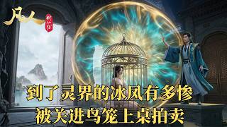 凡人修仙传：冰凤究竟有多惨？灵界被装进鸡笼拍卖？幸好韩立掷金买下