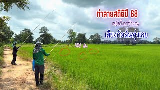 ทำลายสถิติปี 68 หยกปลาช่อนนาด้วยคันไม้ไผ่เหยื่อจิ้งจก งัดสนั่นกัดลั่นทุ่ง🐬😲