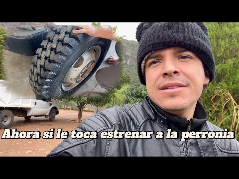 Ahora si le toc贸 estrenar a la perronia馃洖馃尣- el piloto y su estilo
