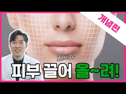 💡울쎄라 리프팅 완벽 가이드! | 시술위키 울쎄라 개념편