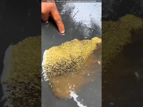 Collecting gold from mud? 😳 #shorts #trending #shortsfeed