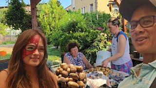 Potato Harvest Day + Sophia's Spider-Man Transformation 😅🕷