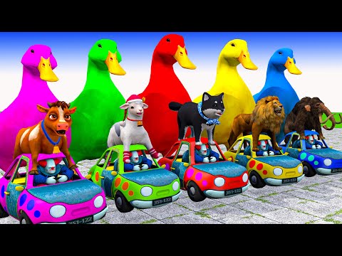 5 Giant Duck Cartoon,Cow,Rabbit,Dog,Zebra,Tiger,Paint Wild Animals Crossing Fountain Animation