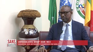 SANS RÉSERVE avec Abdoulaye Diop, Ministre des Affaires étrangères du Mali