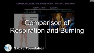 Comparison of Respiration and Burning