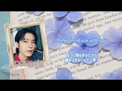 【歌詞和訳】우리의 꽃말 (Stuck With You) 僕たちの花言葉  SUPERJUNIOR