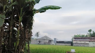 mendung di sabtu pagi