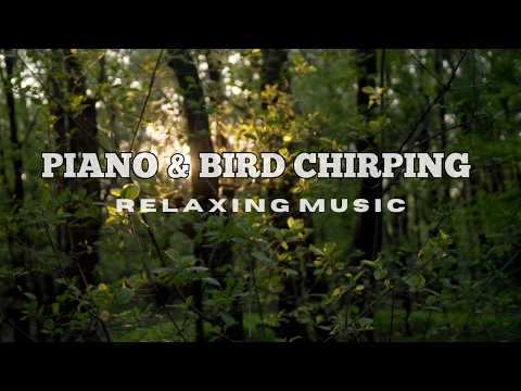 Relaxing Piano Music and Bird Chirping Sounds - Sleep, Meditate, Study, Relax, Stress Relief