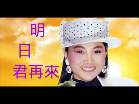 NO:53 明日君再來- 鳳飛飛(國語) (娛己娛人卡拉OK) – 特大字幕