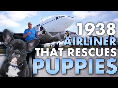 Pilot Dan Gryder and his 1938 airliner that Rescues Puppies, with text and a French Bulldog Puppy