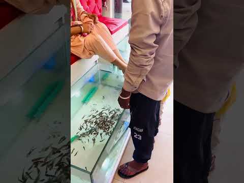 Mamma choti fish se hi dar gai #shortvideo #youtube #shorts