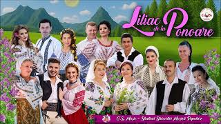 𝐋𝐢𝐥𝐢𝐚𝐜 𝐝𝐞 𝐥𝐚 𝐏𝐨𝐧𝐨𝐚𝐫𝐞  🎶🎉🎼  || Cântece din Mehedinți || 🎊🎻👏 @gsmusicfolclor