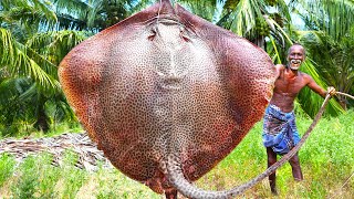 100 kg KING COBRA STINGRAY FISH | ராஜ நாகம் திருக்கை | Cutting Skill|VILLAGE GRANDPA'S SECRET RECIPE