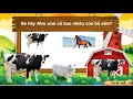 Counting Dairy Cows in Pictures