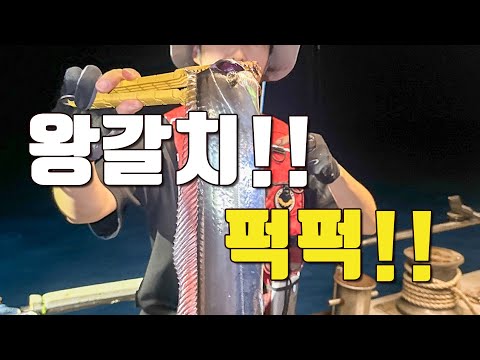 [다리tv] 왕갈치가 퍽퍽합니다!!! 초예민한 입질속 다 잡아내는 채비!!!