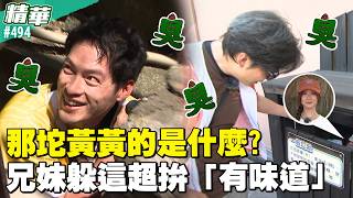那坨黃黃的是什麼？兄妹躲這超拚「有味道」／孫協志 王仁甫 許孟哲 蔡黃汝 詹子晴 林鶴軒 一粒 陳為民 謝凱蒂 各務孝太 EP494_20260802【飢餓遊戲 精彩片段】
