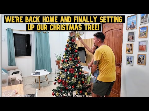 We Are Back Home And Finally Setting Up Our Christmas Tree