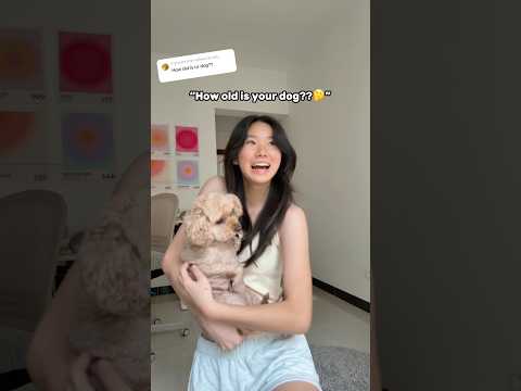 Can I get a โhappy birthdayโ for her?๐ฅณ #fyp #viral #shorts #relatable #funny #trending #dog