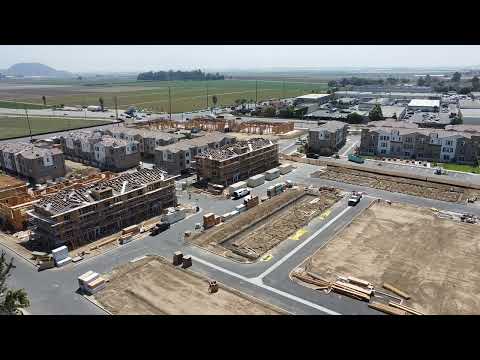 Palmera welcome video