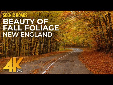 Autumn Scenic Roads of New England 4K - Fall Foliage in New Hampshire - Best Shots of Scenic Drive