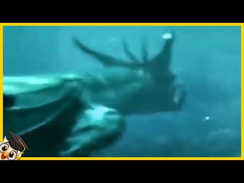 10 Criaturas Marinas Gigantes Captadas por las Cámaras