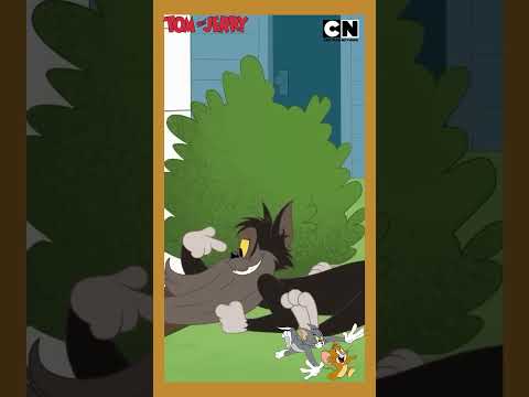 Tom & Jerry 😺🐭| Just Cat & Mouse Things | Cartoon for Kids 😍|  @cnindia