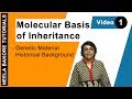 Molecular Genetics and Nucleic Acids
