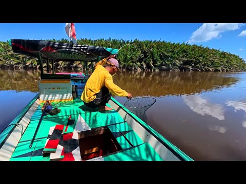 Seru dan Menegangkan. Pancing saya dimakan ikan besar dan banyak dapat udang besar