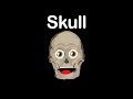 Understanding the Human Skull