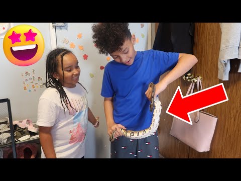 Surprising The kid's With a New Snake