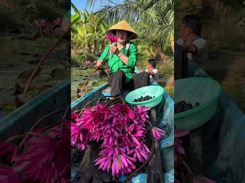 |1458| MẸ CHỒNG QUẨY ĐỤC NƯỚC MIỀN TÂY.