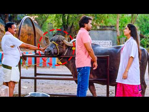 అమ్మాయి ప్రేమలో పడేయడానికి వీడు పడుతున్న కష్టం అంత ఇంత కాదు | @CinemaShowTime