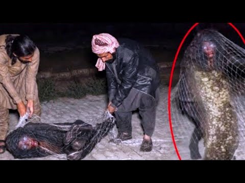 Anomalias de pesca capturadas que ninguém acreditaria