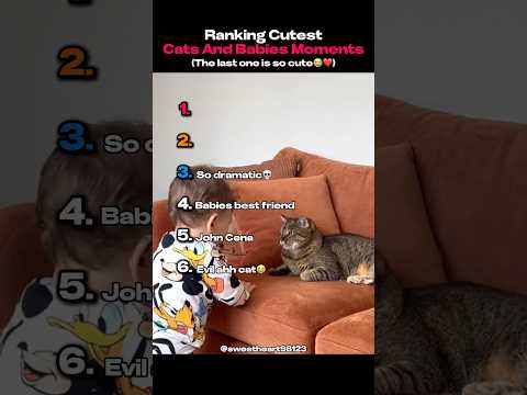 Ranking Cutest Cats And Babies Moments #shorts #viralshorts