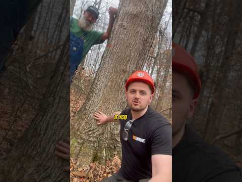 Doing THIS can K*LL you🪓ft. @timberkutterpatriot5248 #shorts