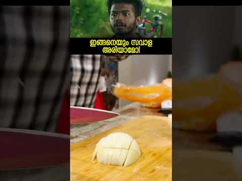 ഇങ്ങനെയും സവാള അരിയാമോ!😱 #travel #america #travelistabysantos #reels #shortsvideo#instagram