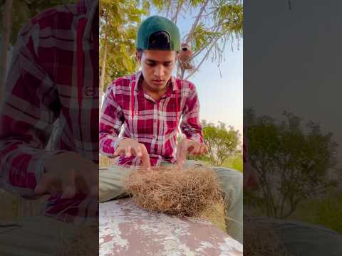 Ye kiska ghosla hai | tortoise 🐢 ne kaat liya 😱 #shorts #shortvlog