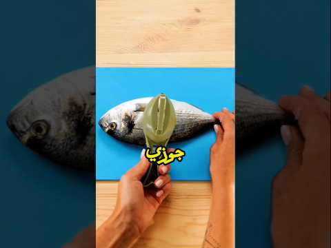 اختراعات بسيطه يمكن عملها في المنزل | جوزي مبيحبش اكلي #قصص_رون #اسراء_نبيل #ثوانى_مع_لوزا #shorts