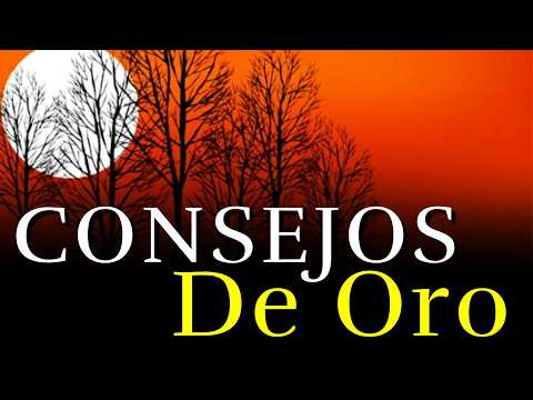 Los Mejores Consejos y Reflexiones De La Vida ¦ Consejos Que Valen Oro ¦ Reflexión, Gratitud #vida